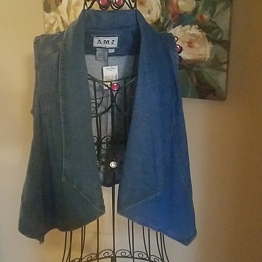 Blue AMI vest